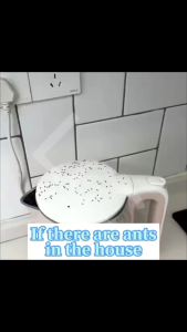 Ant bait ant killer 10g Ant Gel Bait 100% ant killing rate can squeeze anywhere tasteless infectious death killing the entire ant nest Ant repellant for home anay pest control termite Effective cockroach killer