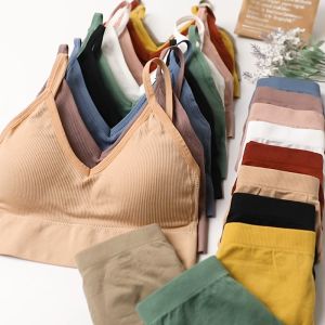 3PCS Women's Seamless Underwear Set: High Rise & Solid Color Panties