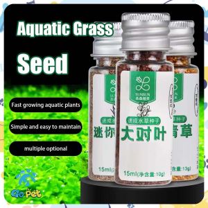 Aquatic Grass Seed: Quick Landscaping for Aquarium Decor
