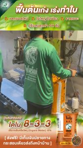 ปุ๋ยทุเรียน ปุ๋ยอินทรีย์เคมีไดโน 8-3-3 ตราไดโนเร็กซ์ ฟื้นฟูต้นหลังเก็บเกี่ยว เร่งแตกยอด บำรุงใบ ใบเขียว ใบหนา ใบมัน ปรับค่ากรดด่างในดิน ขนาดบรรจุ 50 กิโลกรัม