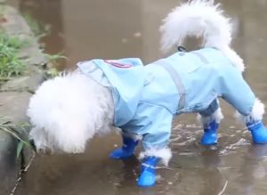4pcs/set Pet Rain Shoes Dog Silicone Antiskid Rain Boots Candy Color Pets Waterproof Shoes