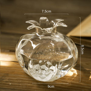 Mini Glass Vase Seeyou Transparent Mini Pomegranate Flower Pot Handmade Floral Arrangement Water Cultivation Creative INS Style Home Decor