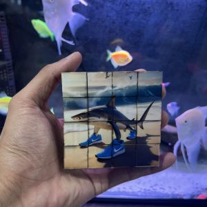 ตลกอะนิเมะ Tung Tung Tung Sahur บล็อกแม่เหล็กบล็อกอาคารการเชื่อมต่อแม่เหล็ก Building Block ชุดของเล่นเด็ก