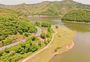 Automatic Inflatable Mattress Bed: A Comprehensive Guide