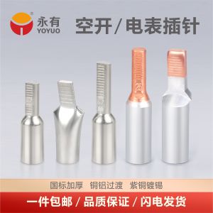 C45 Transition Copper Aluminum Terminal Clamps Pure Copper Pin Connector for Electric Meter DZ47 Circuit Breaker Photovoltaic Aluminum Wire