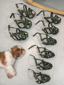 example: "Kowa ตะกร้อครอบปากสุนัข หนาพิเศษ กินน้ำได้ สำหรับกินน้ำราคาเรียว