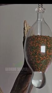 Dụng cụ cho ăn Seachem - Glass Feeder bằng thủy tinh giúp cho cá cảnh ăn