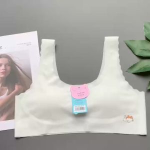 Áo lá học sinh áo lót bé gái mới lớn( Size 45-65kg) Áo ngực học sinh 10-15 tuổi BRA2102