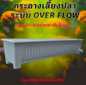 กระถางเลี้ยงปลา overflow ท่อสีขาว สามารถปรับระดับน้ำตามที่ต้องการได้ กะบะเลี้ยงปลา อ่างเลี้ยงปลา อ่างเลี้ยงปลาเมกาดะ