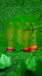 Bearing Tick and Flea Dog Shampoo 150ml - Small Breeds Set of 3