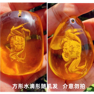 Creative Amber Insect Specimen Pendants Butterfly Crab Resin Ornaments Science Education Elementary School Children Gifts