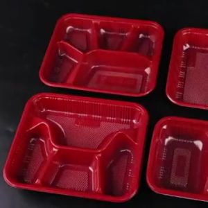 Disposable Multi-Compartment Lunch Box