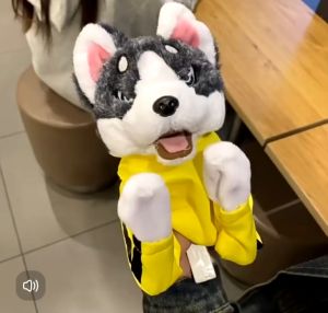 [KST] Boneka Anjing Boxing Battle Mainan Interaktif Suara Edukasi Anak Laki Laki Kado Ulang Tahun