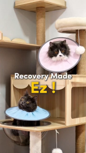 EZPET INS Cloudy Premium Pet Elizabeth Ring Pet Collar Anti Lick Ring Dog Collar Cat Collar Protective Collar Pet 伊丽莎白圈