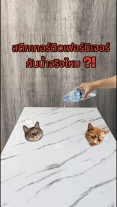 วอลเปเปอร์ลายหินอ่อน ผิวเงา ติดง่าย กันน้ำ กันน้ำมัน มีกาวในตัว เกรดดี สติกเกอร์ติดผนัง วอลเปเปอร์ติดครัว PVC วอลเปเปอร์ติดผนัง wallpapers คุณภาพสูง