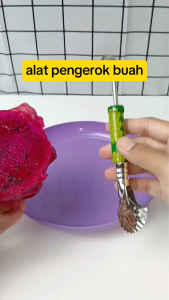 2 in 1 Alat Kerokan Buah Kerukan Kelapa Scoop Koktail Stainles Serbaguna