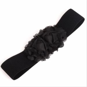 Gesper Belt Ikat Pinggang Wanita: Panduan Membeli & Fitur