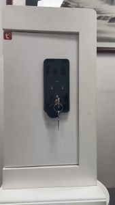 Tuya Smart Door Lock Electrical Fingerprint Lock App Biometric Fingerprint Password Card NFC Keyless Unlock Home DoorLock