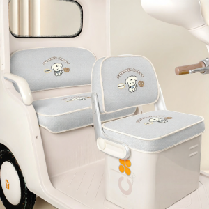 Interior Accessories for Daan Leonoide M9 Trike