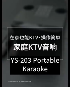 YS219 Portable Karaoke Wireless Set Dual Microphone for Family Gift Idea