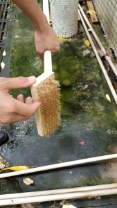 Chổi chà rong rêu cọ sân vườn bằng sắt mạ đồng không rỉ