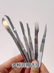 มีดแกะสลักคมๆ มีดแกะสลัก มีดแกสลักไม้ มีดแกะสลักผัก มีดผ่าตัดเล็ก มีดผ่าตัด มีดคมๆ มีดตอนลูกหมู มีดตอนไข่หมู