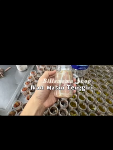 200g Tenggiri Jeruk Ikan Masin Best Pangkor Bilis Mama Jeruk IKan Tenggiri Botol Pulau Pangkor Salted Mackerel Fish