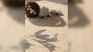 ชุดราวผ้าม่าน ราวม่านหน้าต่าง ขนาด1-2.2เมตร รางม่านตาไก่ แข็งแรงทนทาน ประกอบชุดหัวจุกสูง พร้อมอุปกรณ์ติดตั้งครบชุด