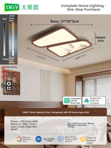 DGY | Vintage Song Dynasty Style Eye-Protective Bamboo Creative Ceiling Light
