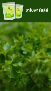 ชาใบพาร์สลีย์ ตราไร่กฤติยา (Parsley Leaf Tea)