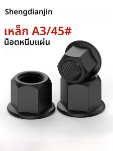 หัวนมเกลียวแบบมีแผ่นรองแบบตั้งสูง สเตนเลส ขนาด M8-M24 สำหรับอุปกรณ์เครื่องมือเจาะร่อง