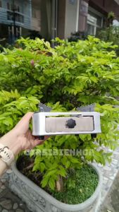 Bếp Cồn Mini Inox Chống Rỉ Chịu Nhiệt Sang Trọng Cho Nhà Hàng