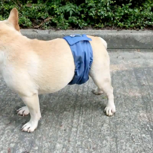 Reusable Pet Belly Wrap - Washable Male Pet Diaper Belly Wrap for Dogs by DogLemi