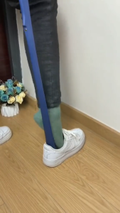 Heels Lifter Helper Plastic Lazy Shoe Helper With Long Handle And Magnetic Hook Magnetic Shoe Horn Slider