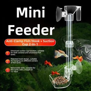 Small Acrylic Fish Feeder
