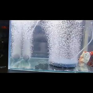 Batu Aerator Aquarium Bulat Pipih Airstone 4 6 8 10 12 15 cm