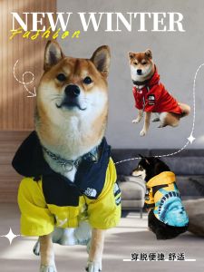 Waterproof Breathable Dog Raincoat Lightweight Spring Autumn Winter Outdoor Casual Style Polyester Fabric Dog Coat for All Seasons