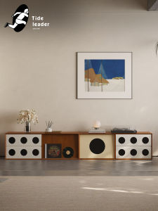 Mid-Century Style Storage TV Stand