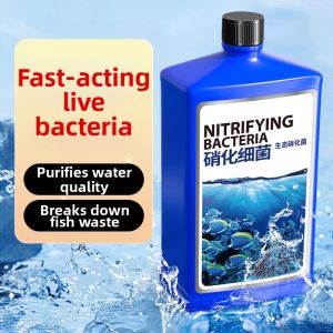 Digestion Sterilization Water Purification Stabilizer Nitrifying Bacteria