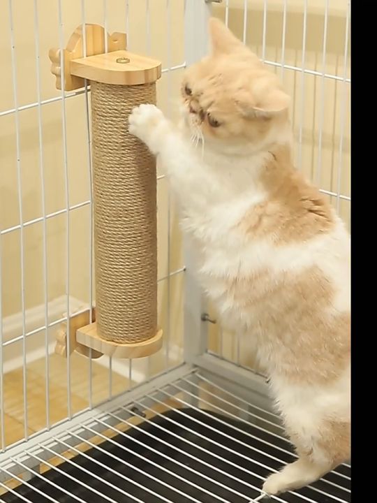 Buy cat condo lazada Best Sale