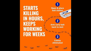 TERRO LIQUID ANT BAIT ANT KILLER