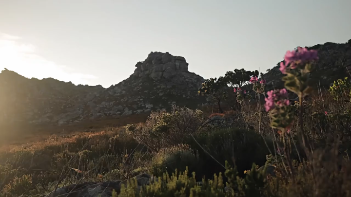 Tas Carrier Naturehike 70L NH70B070-B Tas Gunung Naturehike Backpack ...