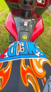 Sarung Cover Jok Motor Motif One Piece Luffy Gear 5 Full Printing Anti cakar kucing untuk Vario Scoopy Beat Mio JP-19