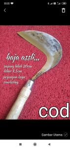 Sabit DN  baja perr assliii