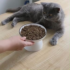 อาหารเสริมแมว Petsnack ขนมหมา ขนมแมว ปลาทะเลป่น แก้เบื่อ ให้ชุ่มชื่น สำหรับโรยอาหารสุนัข บาร์ฟ (BARF) โรยอาหารหมา-อาหารแมว อาหารเสริมสุนัข