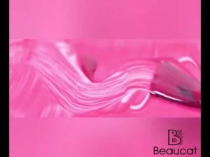 Beaucat Polygel Nail Set & LED Nail Polish Dryer: A Comprehensive Guide