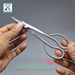 อุปกรณ์บอนไซ กรรไกรตัดแต่งกิ่งบอนไซ สแตนเลส Bonsai Tools Long Handle Scissors 180 Mm (7.09 ) Stainless Steel Standard
