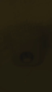 Welhome Rice Cooker / Magic Com 1.2 Liter 3 in 1 - WRC1212 - FREE ONGKIR Jabodetabek