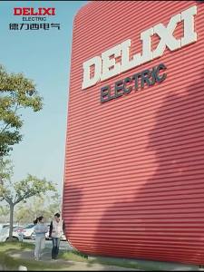 DELIXI Electric | High Precision Toughened Ruler