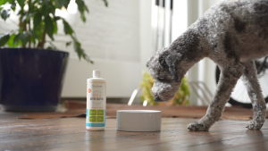 Oxyfresh Pet Dental Water Additive (473 ml.) - ผลิตภัณฑ์ผสมนํ้าดื่มสัตว์เลี้ยง ช่องปาก ลดกลิ่นปาก ขจัดคราบหินปูน